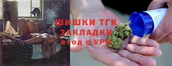 PSILOCYBIN Ельня