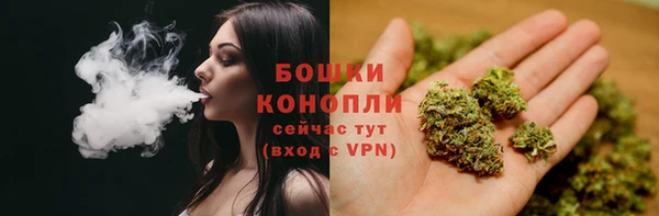 PSILOCYBIN Ельня