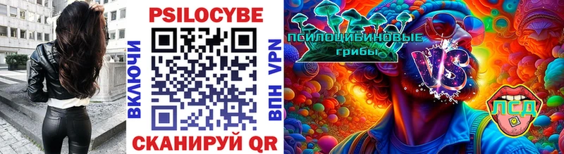 Купить  Киржач  Псилоцибиновые грибы Cubensis 